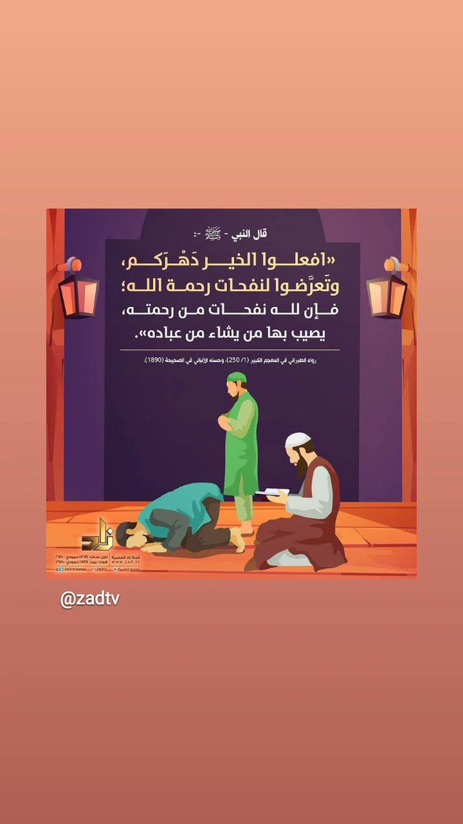 Sheref tweet media
