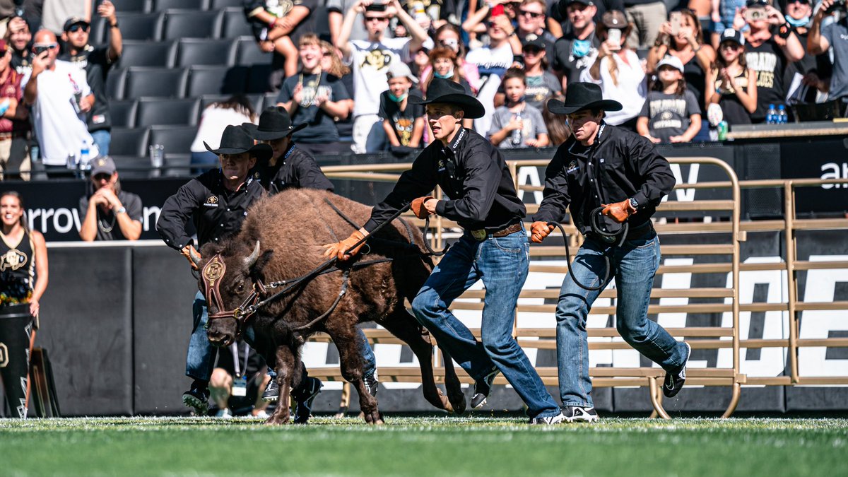 To refresh your memory from the fall 😍👑