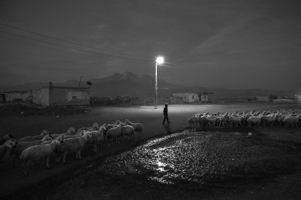 Nimet_Cinaroglu's tweet photo. Good night!🚶🏿‍♂️🐑
#NFTfamily 
🖤🤍
There are 4 houses in the hamlet at the end of the Çarıklı region. 
Turkey

#NFTCollection #NFTProjects #NFTCommunity #NFTs https://t.co/YGIJHZc2MN