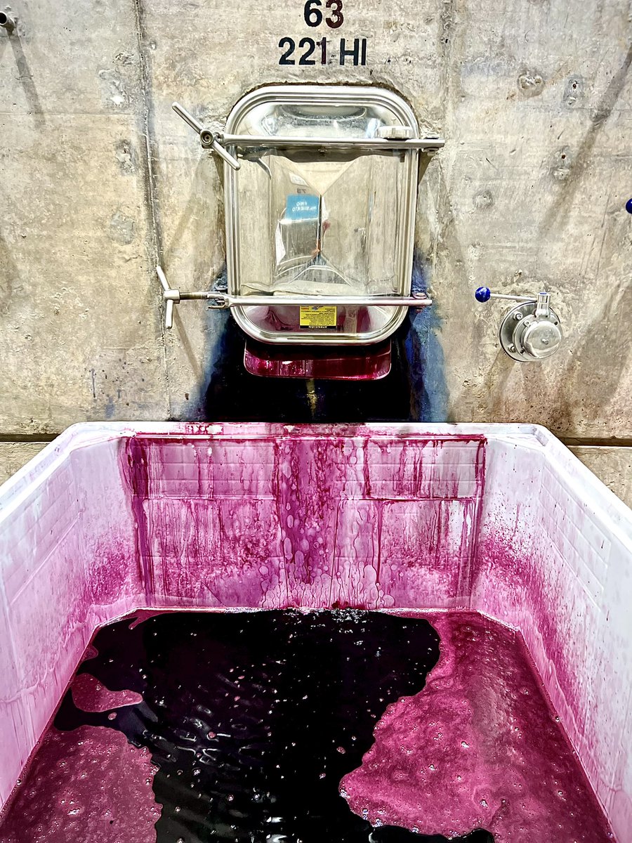 - D E S V I N E S - M A L B E C - 2022 -