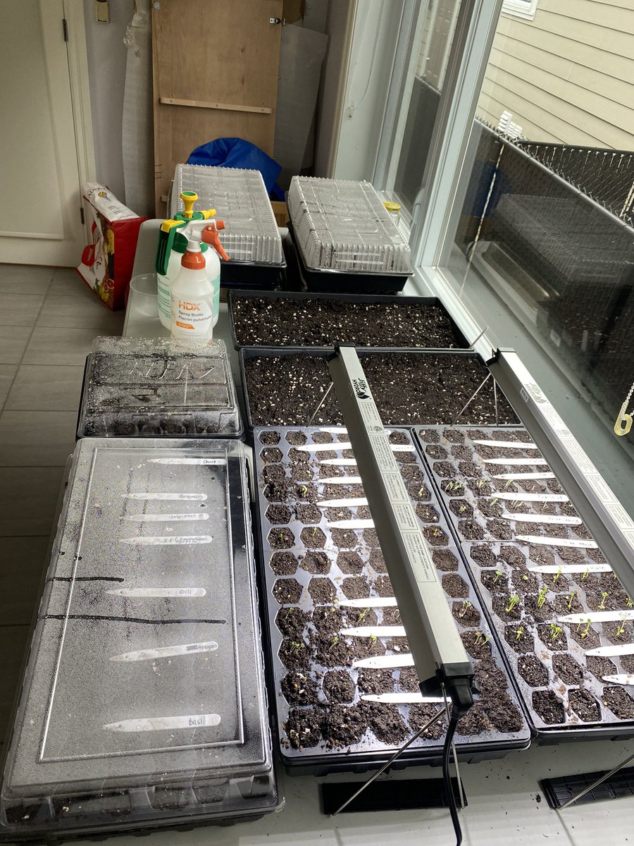 TheYetiNation's tweet photo. We are farmers!!! Hahahaha https://t.co/ZAlWbkO4IH