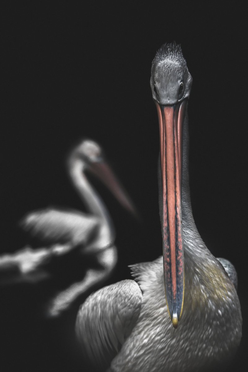 A 1/1 #NFT in a collection of 6. Who would like to be my first collector?😁
foundation.app/@alfredminnaar