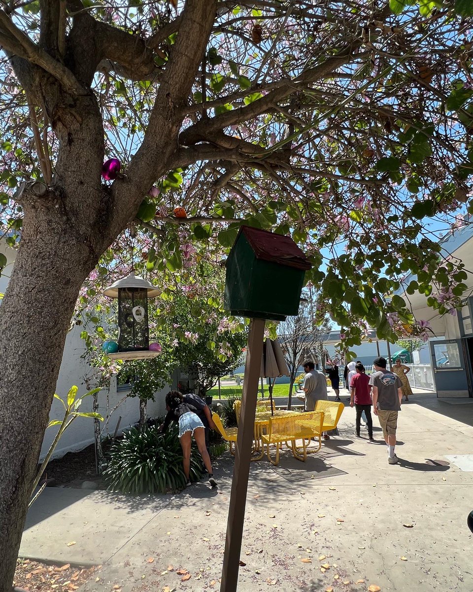 rha_wvusd's tweet photo. #RHA and #HARTT kicked off Spring Break today with an Easter Egg hunt, a partner egg race, and a refreshing few rounds of a partner water balloon toss. #RHAtoday https://t.co/mWmPW3qA09