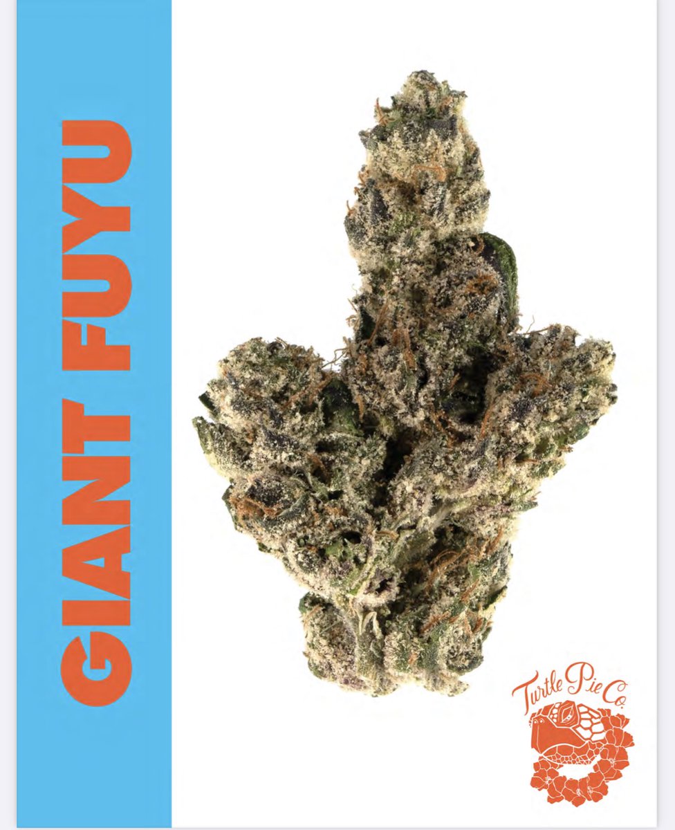 TurtlePie415's tweet photo. Fresh drop of the ⛽️ to your favorite spot this week and next week!!! Check in with your favorite budtenders. #turtlepieco #trapulent #trapchic #boutiqueweed #exotics #topshelf #gas #WeedLovers #weedsmokers #cannabis #FridayVibes https://t.co/47HnnNM36e