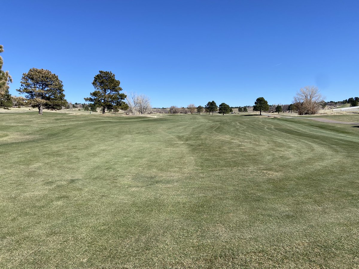 pinerygcm's tweet photo. Post Fairway aerification looking good.Way to go team! https://t.co/ZkAjeNtqCO