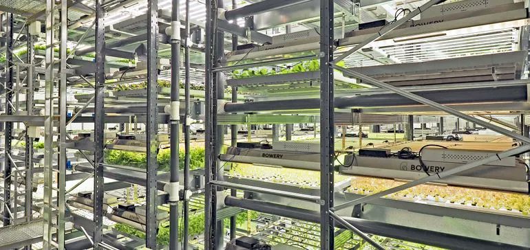 Hellenic_Group's tweet photo. It's a technological arms race that both drives competition in the indoor farming space and companies' endless pursuit of funding.
#VerticalFarming #Agriculture #FridayFarming #investment #Finance #Technology #FoodTech
https://t.co/5nIKh0V2Lj https://t.co/k5O7BRbS8M