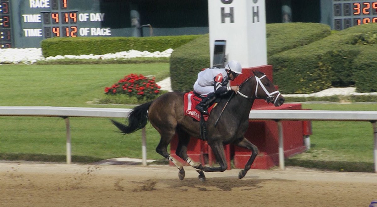 mjsharp75_joe's tweet image. Congratulations‼️Blueridge Mountain 🏔 🏇🏻@mjsharp75_joe @Gabesaezjockey 🆙@OaklawnRacing @TVG