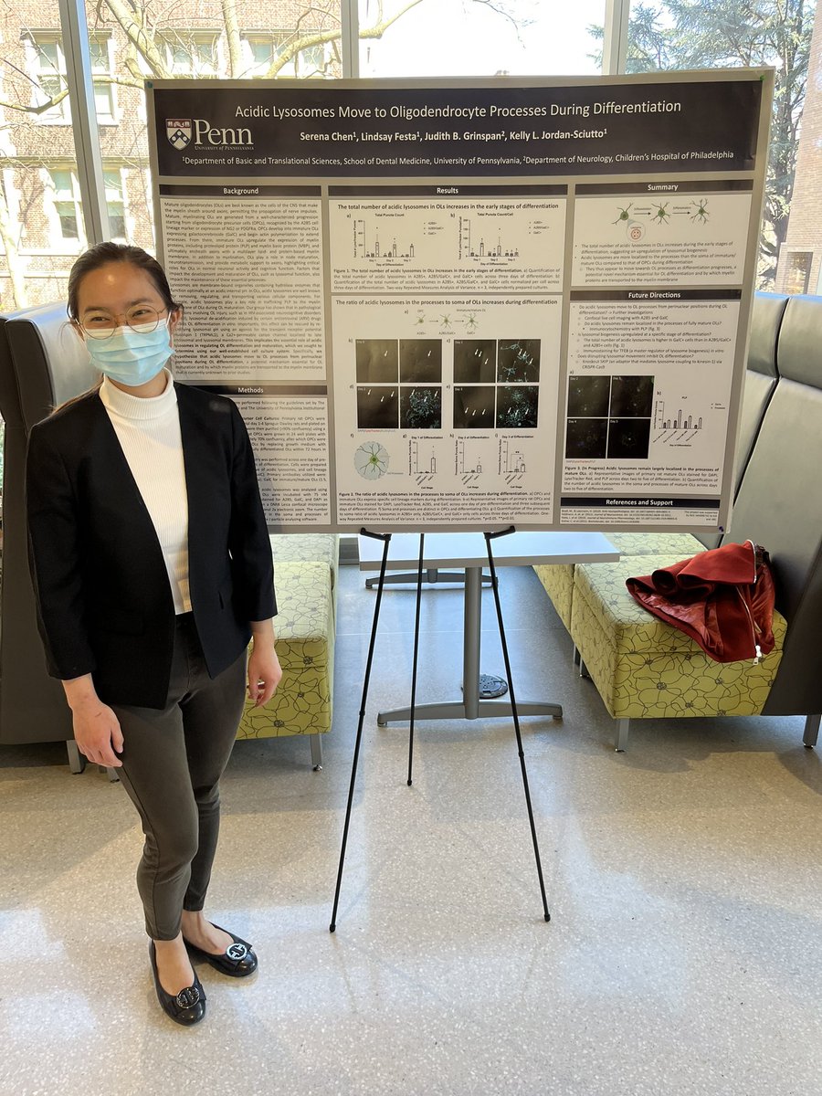 GrinspanLab's tweet photo. Congrats to lab member Serena Chen for a fantastic poster presentation and honors thesis defense of her work in the lab! https://t.co/dOkIqNMElw