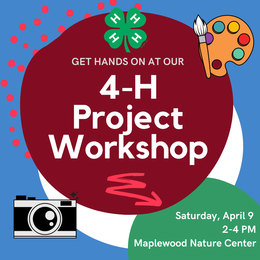 RamseyCounty4H's tweet photo. 💃 We'll see you tomorrow from 2-4pm for some hands-on project learning led by local youth, volunteers and parents!
Register here: https://t.co/5rMpI3DQT1 https://t.co/87XmiDSTom