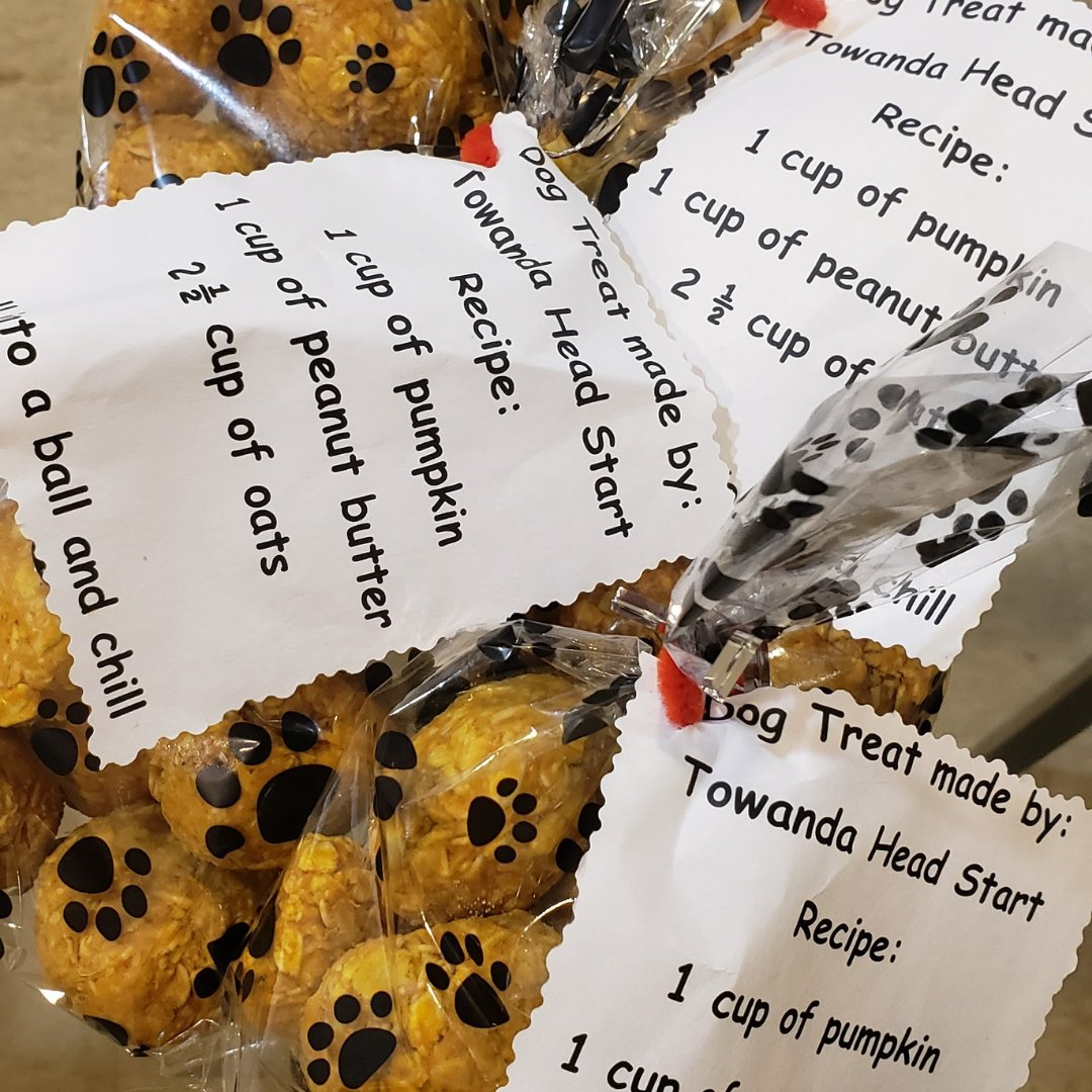 AnimalCareSanct's tweet photo. A BIG thank you to the Towanda location of Bradford-Tioga Head Start for their adorable treats for our doggos! We had the pleasure of meeting all the children and reading a special book, 'Please Don’t Tell Cooper He’s a Dog', from @books_cooper.

#ACSproud https://t.co/gZdkTC5xWM