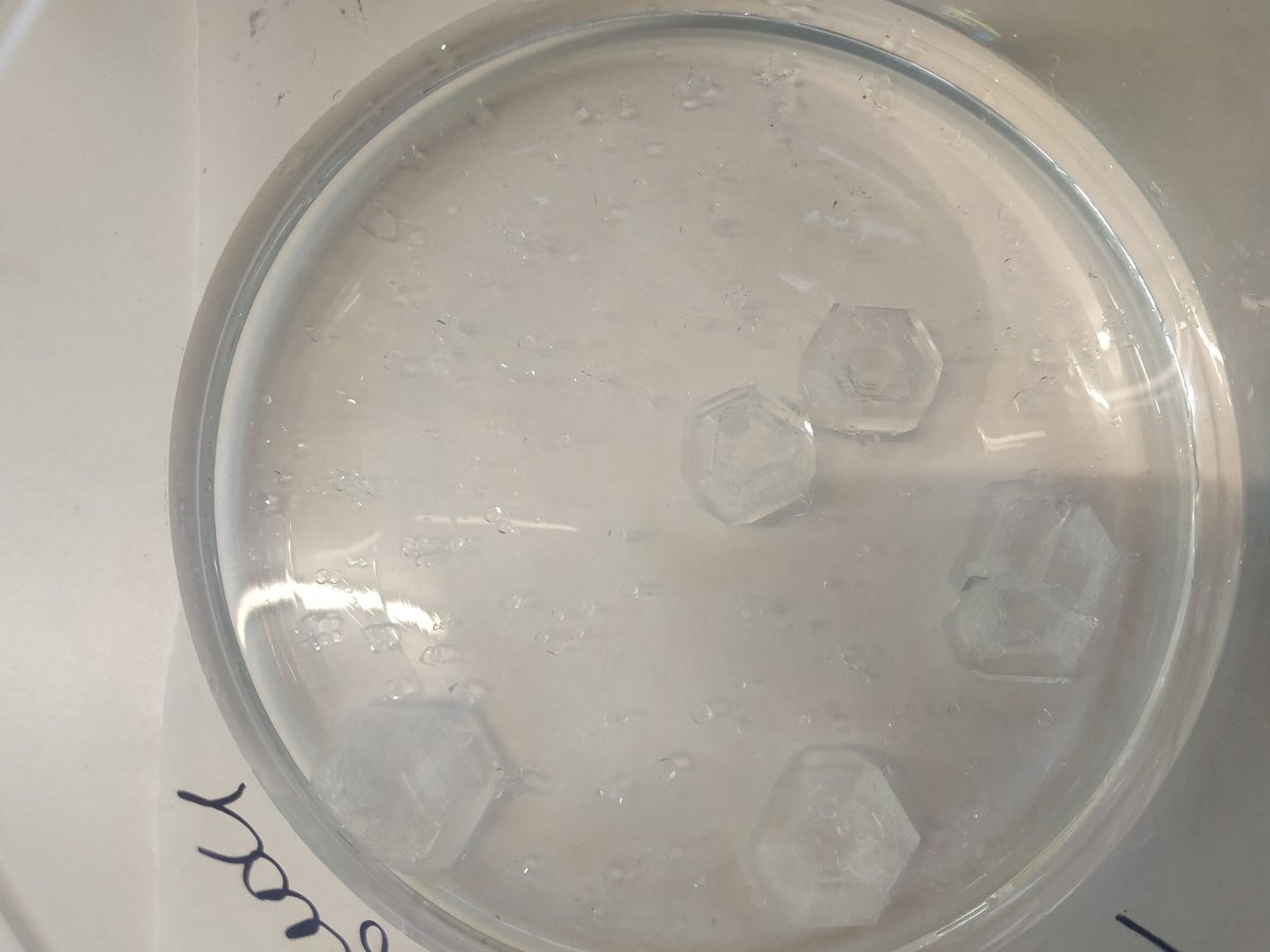 QEscultor's tweet photo. En Muestreo y #OperacionesBasicas de #laboratorio se obtuvieron vistosas #cristalizaciones (ej. Sulfato alúmino potásico) gracias a la "magia" 🎩 de la #química 👩🏿‍🔬para luego filtrar y calcular #rendimiento
🔝 Alumnado 1° #FP laboratorio @iesescultorjuan https://t.co/00ggjRCDDf