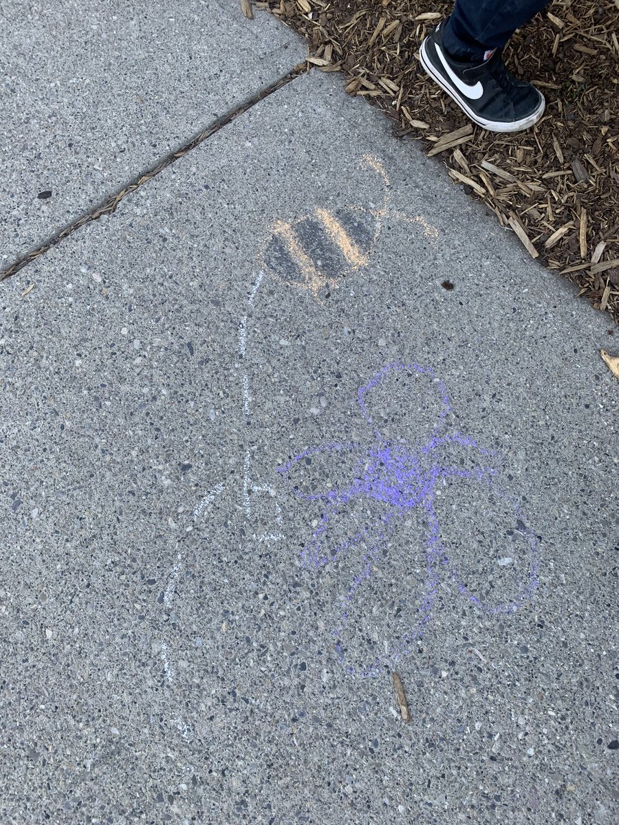 hmparlee's tweet photo. Grade 1 scientists were hard at work today brightening up the school’s front entrance drawing things that remind them of Spring! There were so many beautiful pictures of rainbows, flowers, insects, weather patterns, and animals that we see in springtime🌸🌼🌿🐞🦋☀️🌈 @MsBakhtawar https://t.co/ytlc7kCNio
