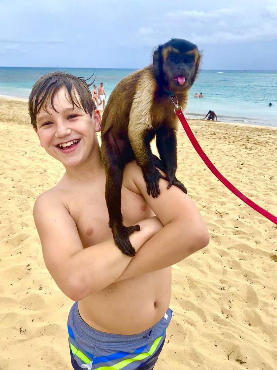 LoganLarson4444's tweet photo. Monke https://t.co/0C1XuuE6Jr