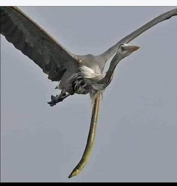 هكذا تكون النهاية عندما يكون الاختيار خطأ