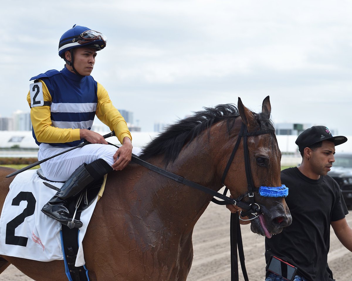 Two wins today! ✌️🔥
Leah's Legacy, <a href="/JockeyVasquez/">Wilfred Vasquez</a> up, crushes her competition in a maiden claiming at #GulfstreamPark. Congrats to owner <a href="/Racingwithbruno/">With the Works</a>!
#RoyalPalmMeet

📷 <a href="/coglianesephoto/">Coglianese Photos</a>.