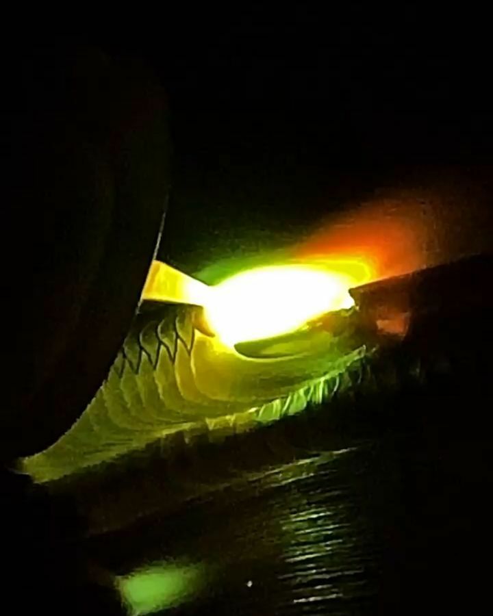 If it doesn’t burn a little then what’s the point of playing with it? 🔥🔥 #weldeverydamnday

🎥 Reposted from @danweld_
Check him out and don't forget to drop a ❤️

👉🏻 Remember to follow us @lwelds
➡️You can also check our products here at
🌐 www.lwelds… instagr.am/p/CcGxBJQjLl4/