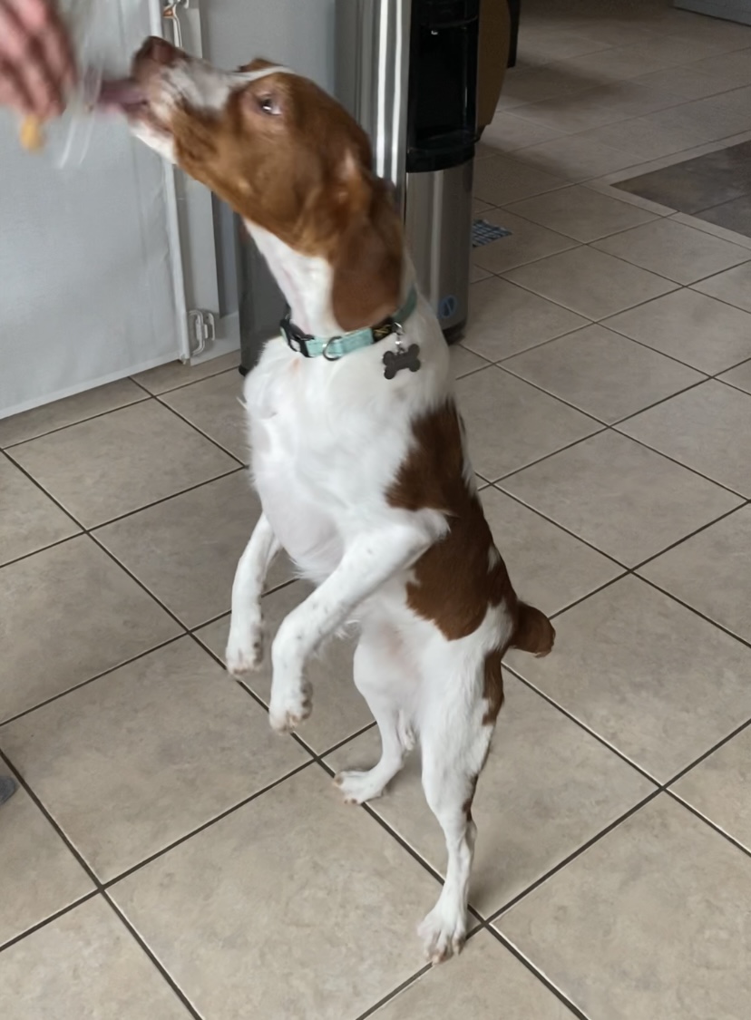 e_spaniel's tweet photo. also if anyone is curious as to what tf they are looking at here: https://t.co/mzzHoZI8cv
