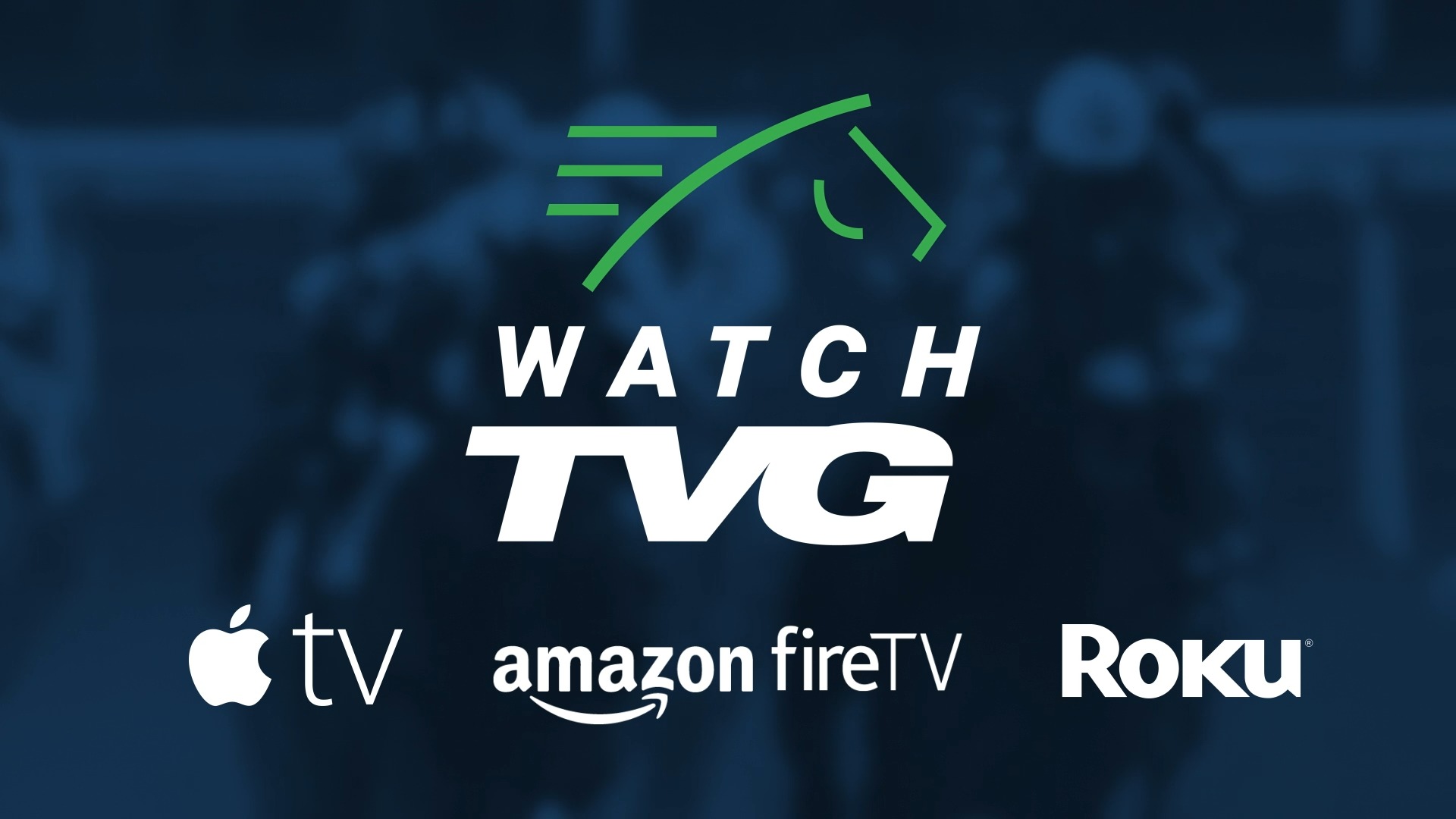 TVG on Twitter: "In 2017 @TVG launched #WatchTVG for the next ...