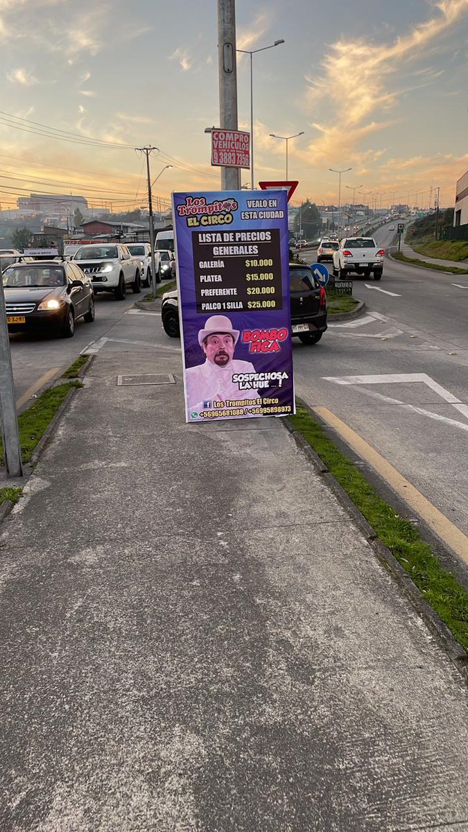 <a href="/munipuertomontt/">Mun. Puerto Montt</a> el circo los trompitos instaló esta publicidad en plena ciclovia, solicitamos sea retirada y se cursen los denuncios correspondientes.