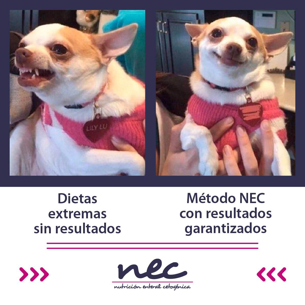 MetodoNec's tweet photo. Olvídate de las dietas extremas sin ninguno tipo de resultado. Nuestro tratamiento garantiza que alcances tu objetivo de pérdida de peso en poco tiempo y de forma saludable. 
 #métodonec #bajardepeso #bajardepesorapido #proteinas #estilodevidasaludable #adelgazar #keto #ketodieta https://t.co/qlzgLSG8hY
