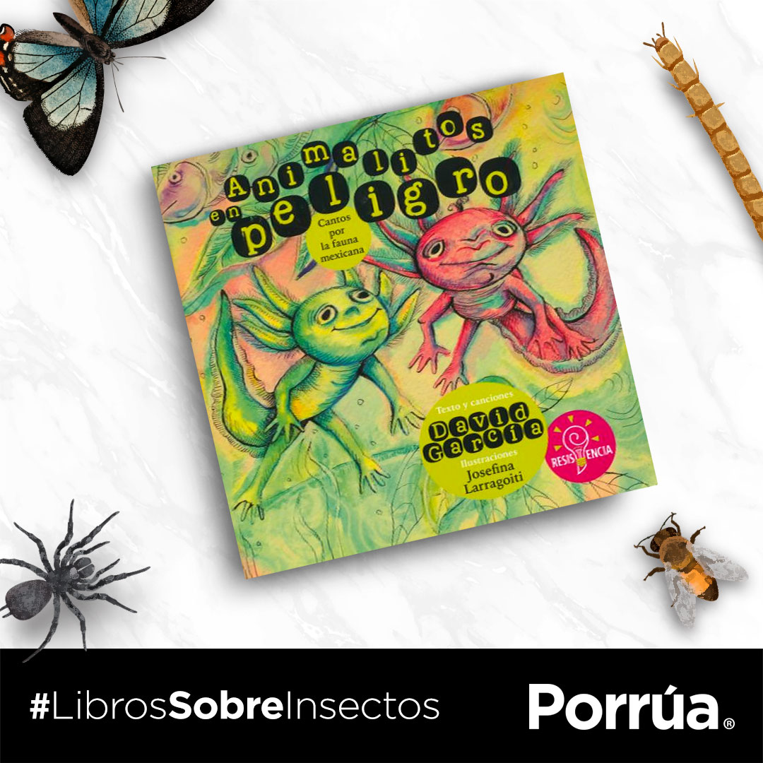 libreriaporrua's tweet photo. 🗓 #Hoy te recomendamos 3 #libros que formarán parte del #FestivalInsecta 2⃣0⃣2⃣2⃣, que tendrá lugar en el #bosquedechapultepec🌳🌳🦗.
🤓📚#Títulos disponibles en https://t.co/JI6fmZGa8L y sucursales de #LibreríaPorrúa. https://t.co/HeCKF2FnXU