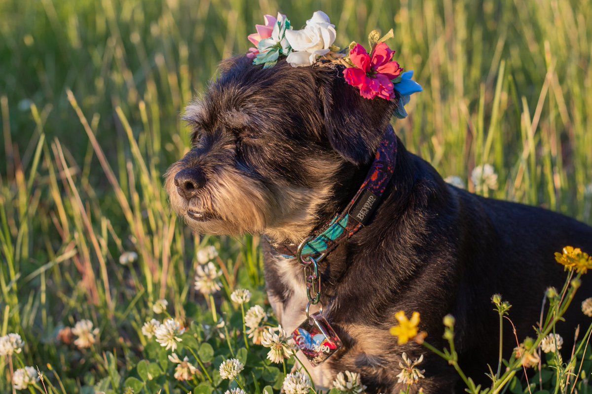 Beyond the Trail | Nicole tweet media