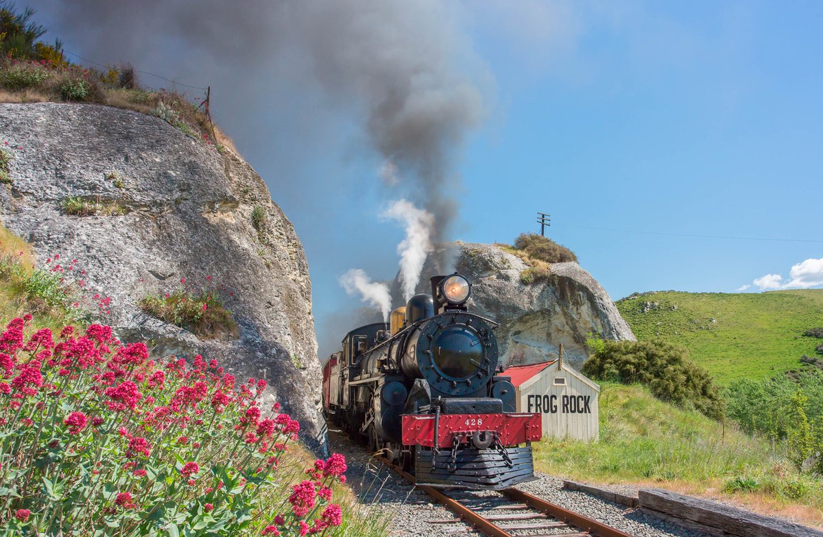 Screen CanterburyNZ tweet media