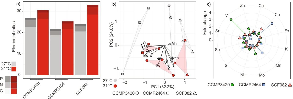 emmafcamp's tweet photo. Micronutrient content drives #elementome variance between Symbiodiniaceae, check out our latest work in @BioMedCentral #PlantBiology https://t.co/hQtwCvGwOg @MattRNitschke @SamanthaGoyen @DavidJSuggett @clases_david @hannahgreich https://t.co/zThE8u2Hd2