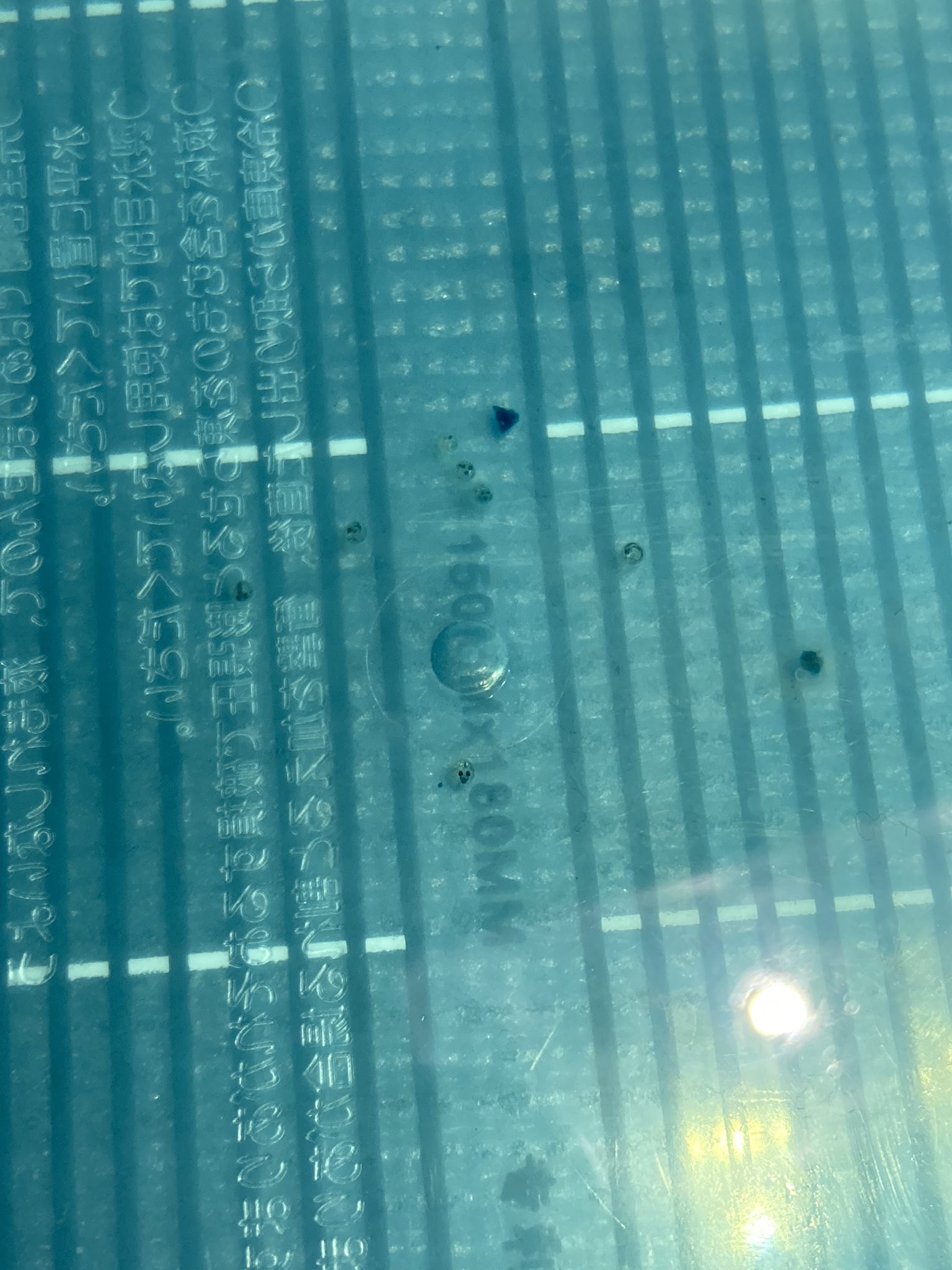 やま メダカ産まれそう シートヒーターとメチレンブルーのおかげ メダカ みゆきメダカ 幹之メダカ 楊貴妃メダカ T Co Cohwqyd6yo Twitter