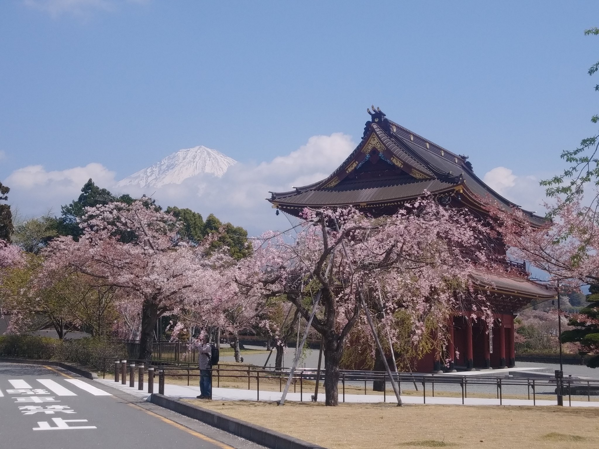 大石寺 Twitter Search Twitter