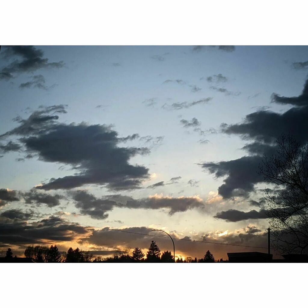 SugarSagePhoto's tweet photo. With colours and clouds like this, I can't wait for sunset shots for the next 5 or so months!
.
.
.
.
#yyc #yycphotographers #yycphotography #yycphotographer #familyphotography #familyphotographer #familysession #couplesphotography #couplesphotographer #… https://t.co/nAnul8hzCM https://t.co/NAVov4p2xF