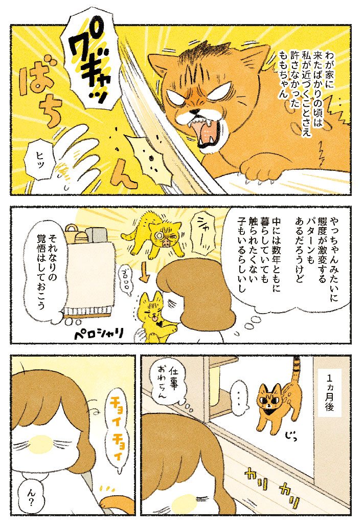 飼い主が近付くだけで警戒していた猫 1か月後の変化が、こちら https://t.co/4INSjJRQzI @grapeejpより 