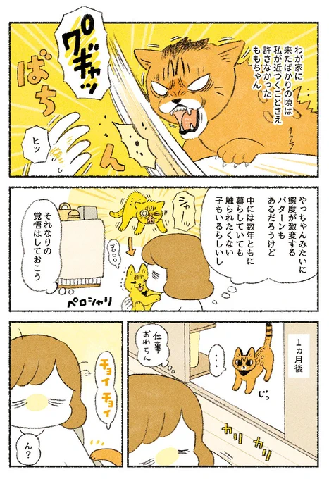 飼い主が近付くだけで警戒していた猫 1か月後の変化が、こちら https://t.co/4INSjJRQzI @grapeejpより 