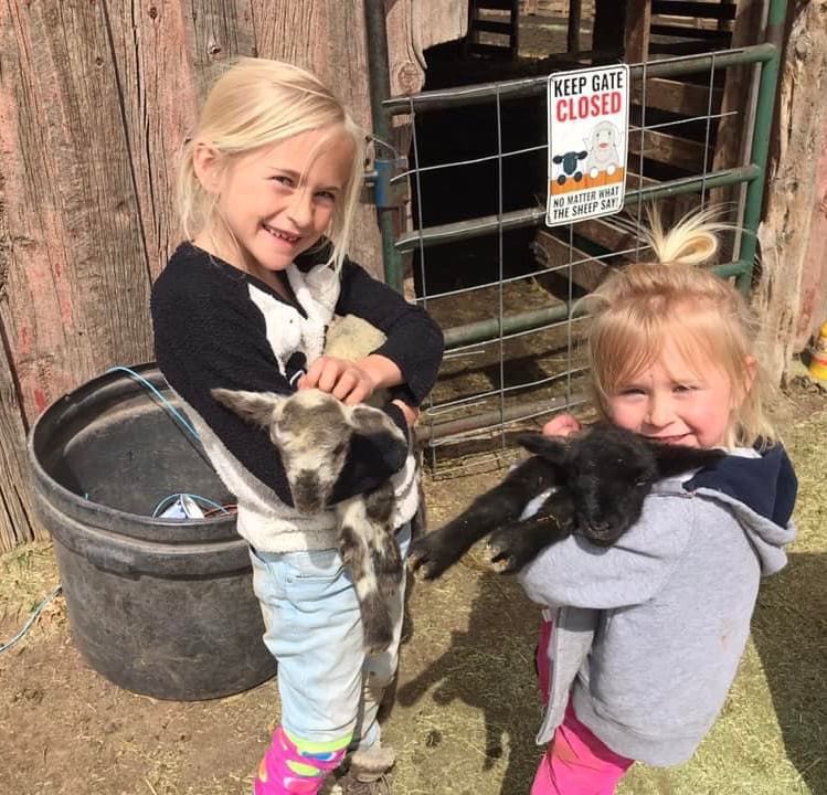 NorwoodColorado's tweet photo. This time of year, you just can’t ignore all the cuteness running around. It’s baby season on Wrights Mesa!
Photo: IG/@terrisnyderlamers
#norwoodcolorado #westendcolorado #coloradogrown #coloradoraised #ranchlife #locallygrown #locallyraised #coloradosheep #babysheep #colorado https://t.co/VtP08Pmo7R