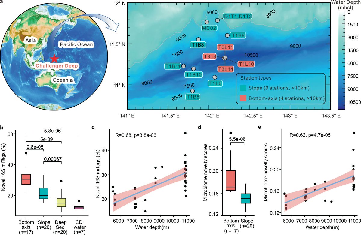 windfieldhk1's tweet photo. Nature Communications published 'Microbiomes in the Challenger Deep sediments' recently. Novelty of the microbiomes in the V-shape deep trench was evaluated and ecological functions and adaptative mechanisms were revealed by multi-omics data. https://t.co/gaQRwQoMXA