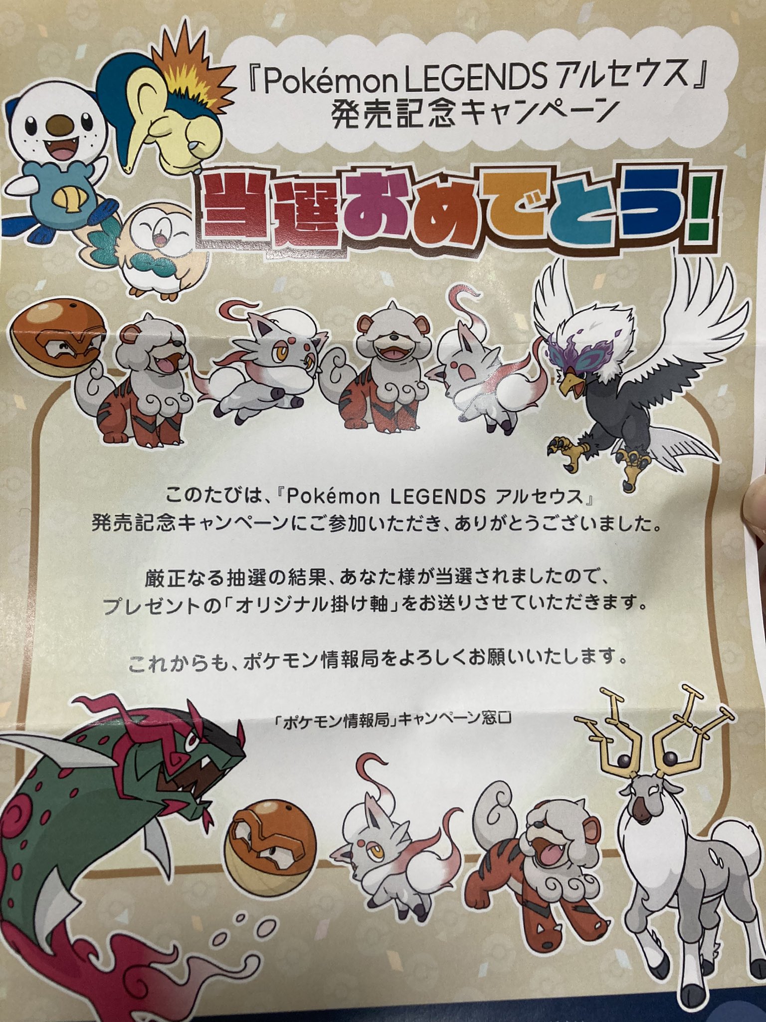 激安通販の ポケモン アルセウス ヒスイガーディ 掛け軸 ゲーム・おもちゃ・グッズ