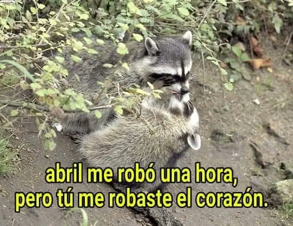 sopitas's tweet photo. Viernes de ponerse románticos ❤️😅 https://t.co/Ii5hVOmV6T