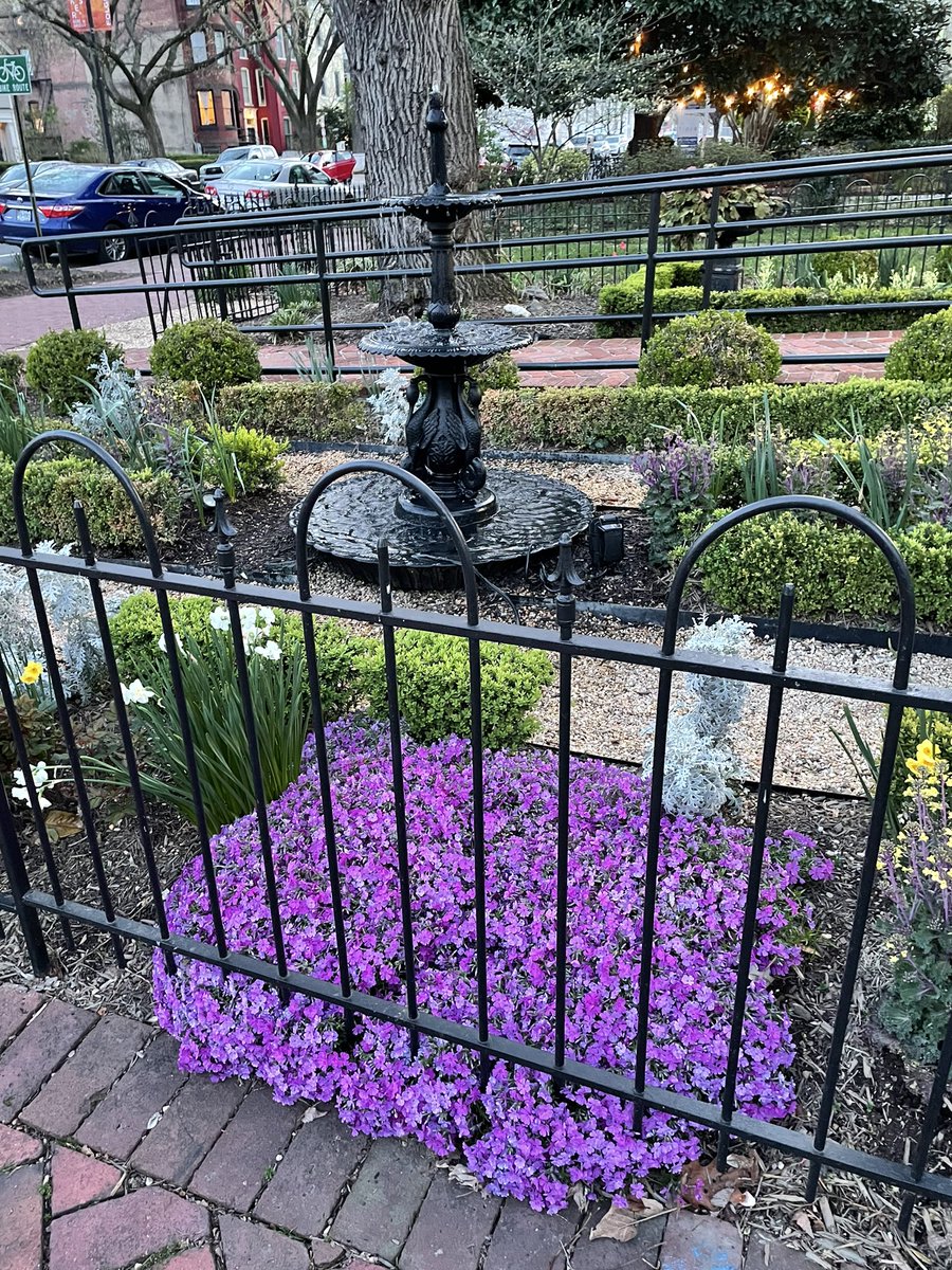 Check out the stunning phlox at  <a href="/GrubbsPharmacy/">Grubb's Pharmacy</a>