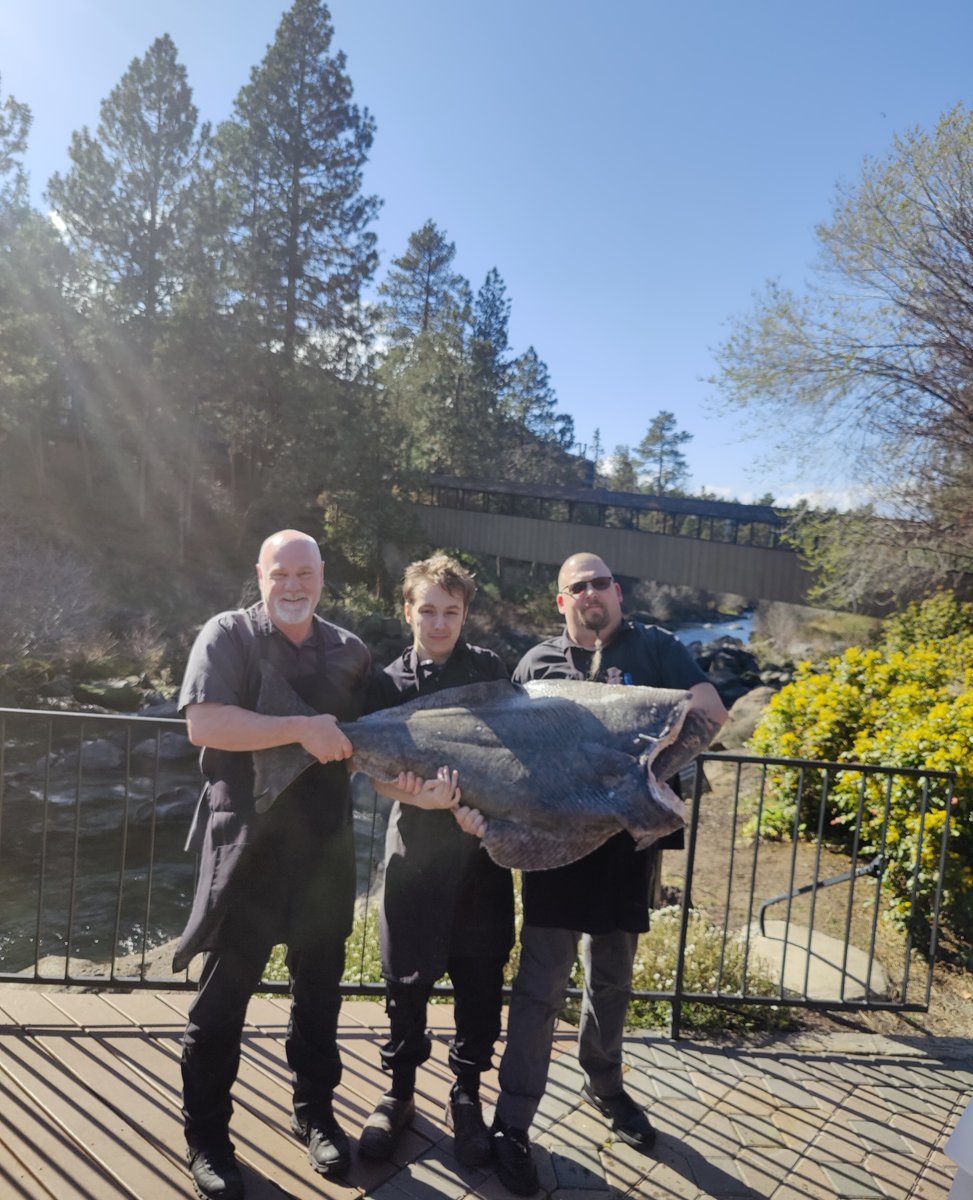 Fresh Halibut special tonight at currents 

Our kitchen team was thrilled when this 80lb monster came in fresh from the Oregon coast today!