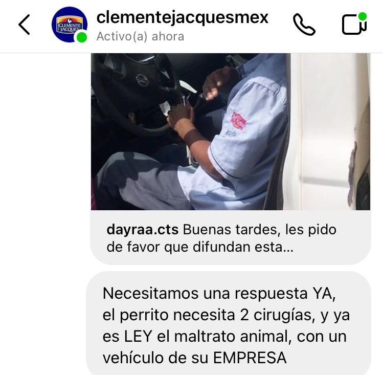 MonseNavedo's tweet photo. @kaymastretta @FRYDApuebla @C_Lobato @itzivalencia @KarlaDaH @verolopez_10 @dulcgomez @MoniquePue @alvarez_armando @cynValderrabano @CynChavezR La dueña del perrito me dice que #ClementeJacques ya la bloqueó. https://t.co/S59MXrTAol