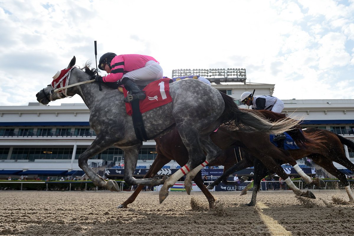 CanalHipicaTV's tweet photo. En el siguiente enlace a nuestra página web puedes reproducir el resumen de @GulfstreamPark del Viernes 8 de Abril:
👉https://t.co/4N9W5acnK7

📷 @RyanFromChicago / @coglianesephoto. https://t.co/POPcyycXw5
