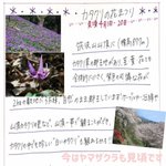 【筑波山江戸屋】のツイート画像