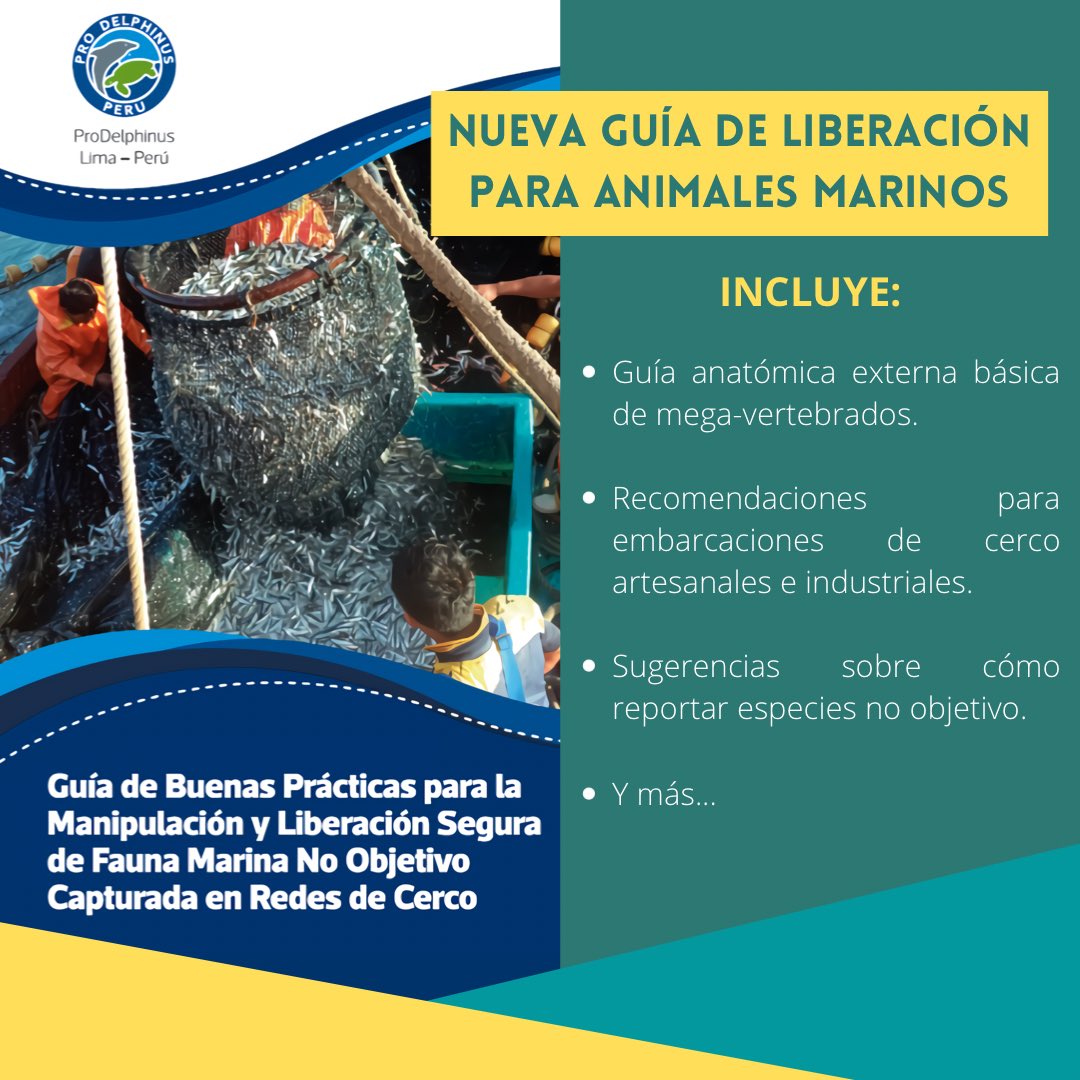 #NuevaGuíaPD | Esta guía no solo compila técnicas de manipulación y liberación aplicadas a nivel global, sino que incluye valiosos aportes de pescadores de nuestro país. 

Link: dl.orangedox.com/EfWPMpUxoCeKrl… 

<a href="/SNP_Peru/">SNP Perú</a> <a href="/BibliotecaPeru/">BibliotecaPeru</a> <a href="/NFWFnews/">National Fish and Wildlife Foundation</a>  <a href="/RedLaudOPO/">Laúd OPO</a> <a href="/MarineMammalCom/">Marine Mammal Commission</a>