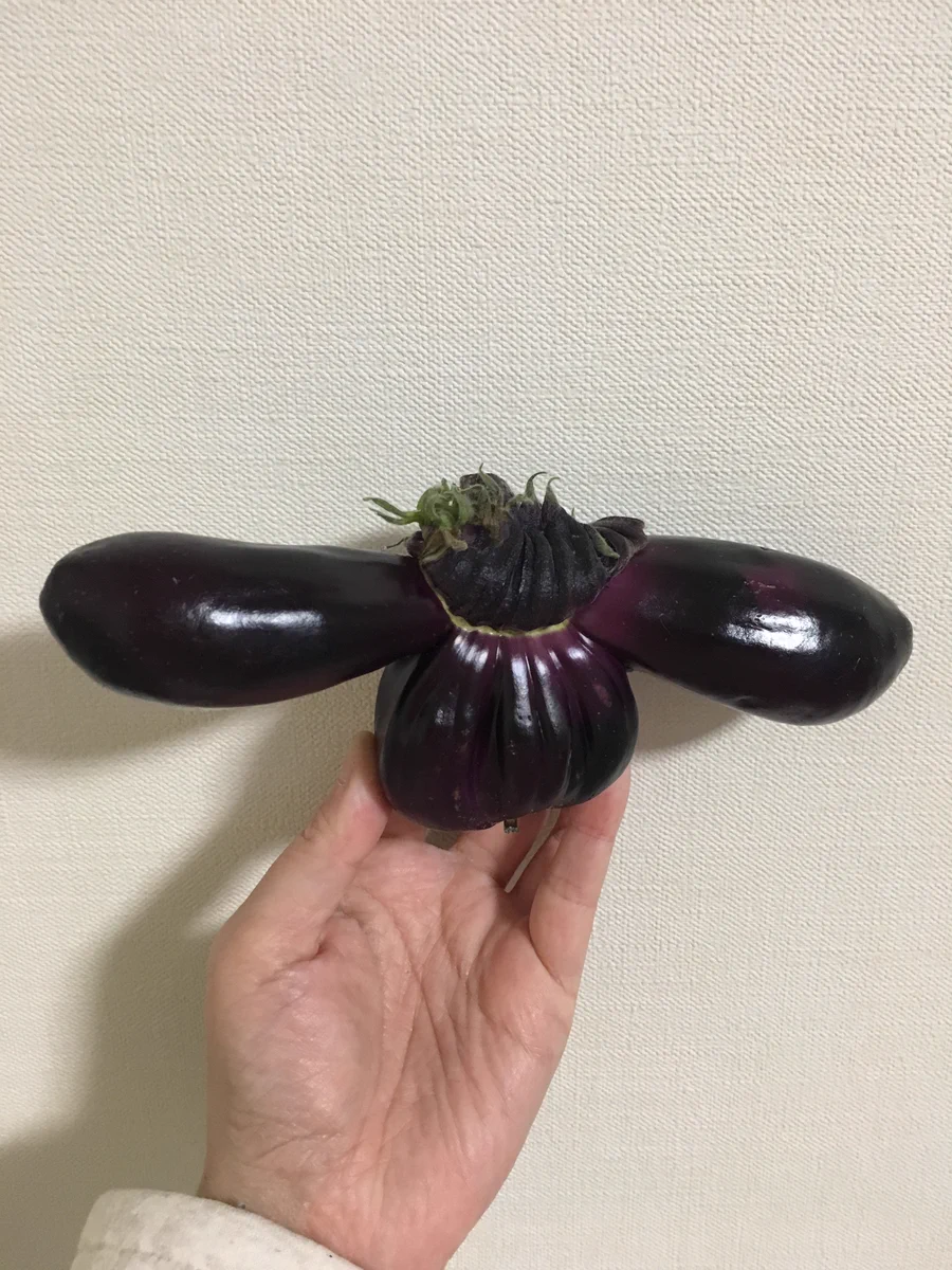 闇のシナモロール現る！？と思ったらナスだったw