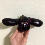 闇のシナモロール現る!？と思ったらナスだったw