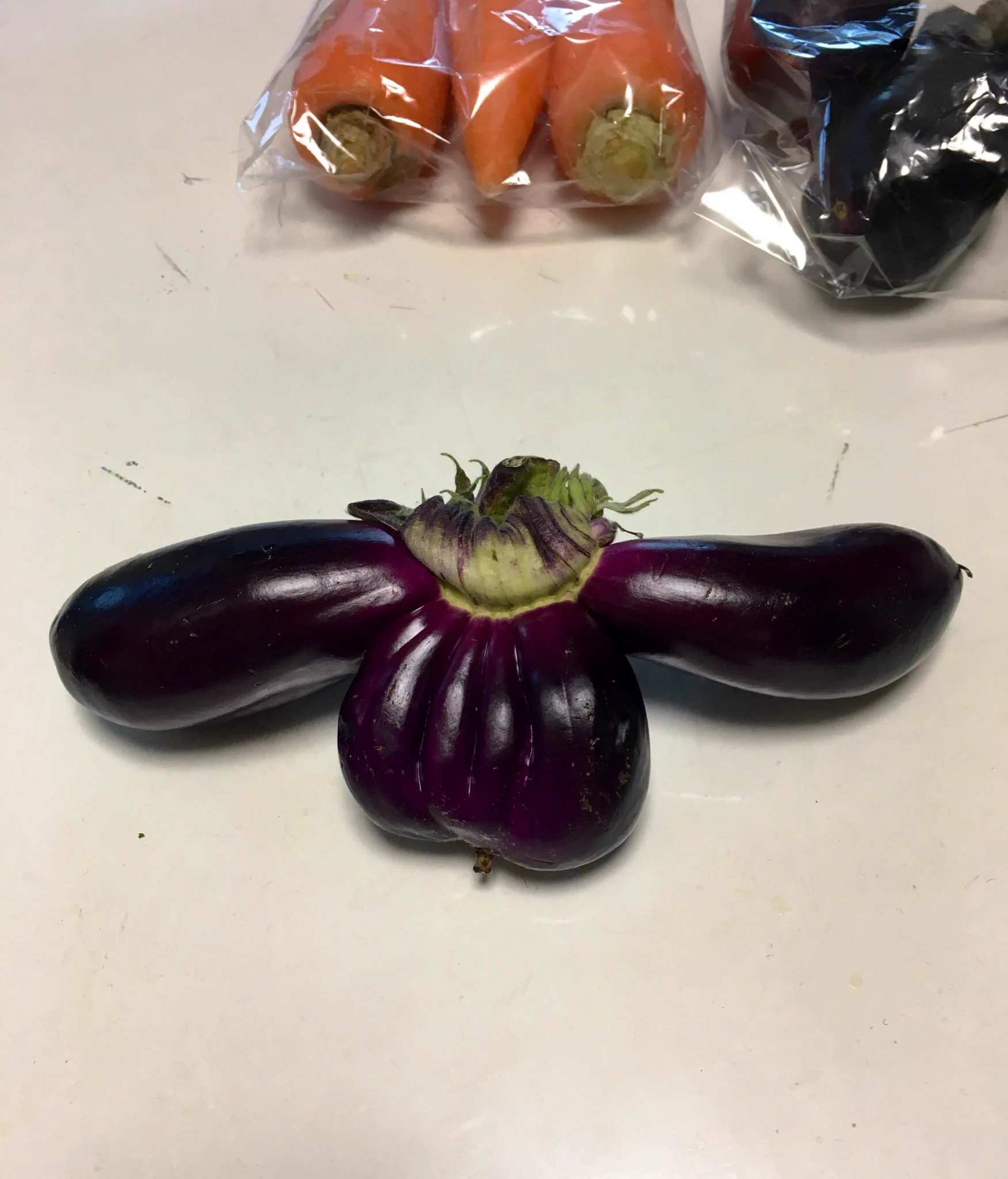 闇のシナモロール現る！？と思ったらナスだったw