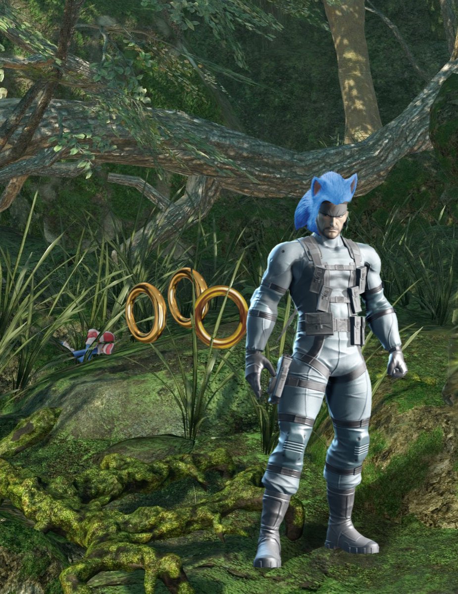 SolidButSnake's tweet image. Hrngh…hedgehog fur makes for a decent pelt hat.

#SonicMovie2