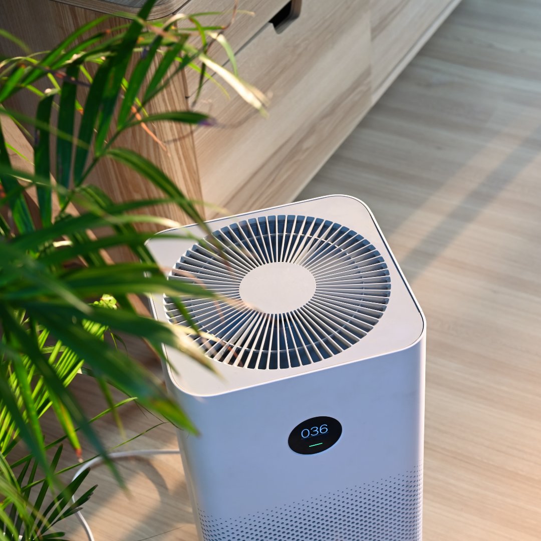 jerrymoorealtor's tweet photo. These whole-home air purifiers help make the air in our homes as clean and fresh as the air from the shores of our lakes 👉 https://t.co/DnVPreieiH 

📸Canva

#ontheblog #homeimprovement #airfilters #spring #lakehouse #lakehome #lakeliving #healthyliving #springcleaning #cleanair https://t.co/ux8pLIHFUl