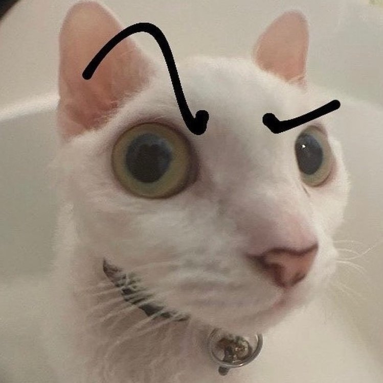 RecantoUrubus's tweet photo. @MATHEUSUHH @Gamers_contexto https://t.co/iDUq7ll8j4