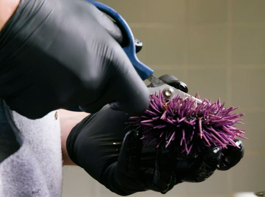 Cube Quebec / Oceatec tweet media